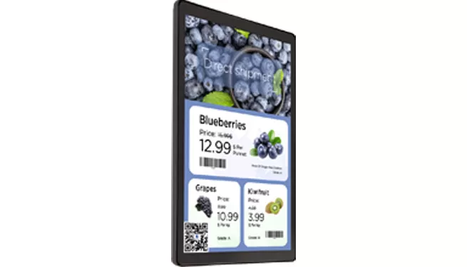 century introduces colora lf101 a full color dynamic display lcd price tag single side or also double side available 2
